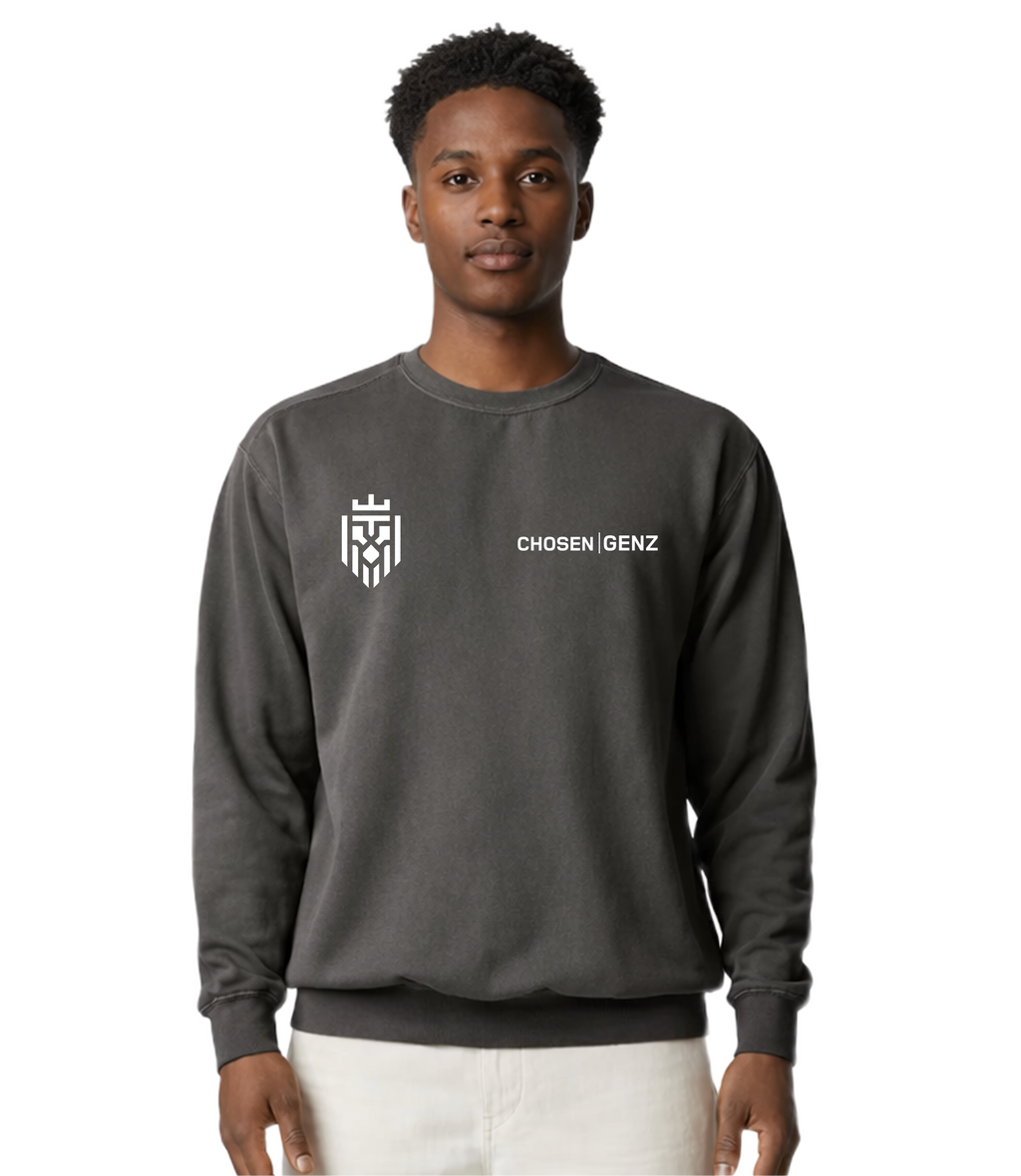 Signs and Wonders - Lightweight Crewneck Sweatshirt