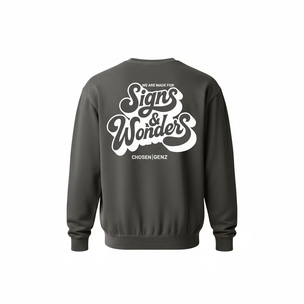 Gray Sweatshirt Back